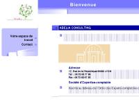 ABELIA CONSULTING ABELIA CONSULTING