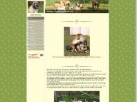 abelleboerboel.se the boerboel, fotos, our males abelleboerboel.se the boerboel, fotos, our males