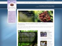 Association of British Fungus Groups Association of British Fungus Groups