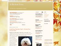 A Bichon Frise A Bichon Frise | everything you need to know about a Bichon Frise A Bichon Frise A Bichon Frise | everything you need to know about a Bichon Frise