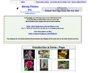 &nbsp;Abirdy Photos Inc. Intro - Home Page