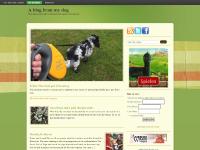 Two dogs explore the world - A blog from my dog