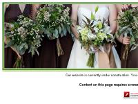 Français, BIRTHDAY, CHRISTMAS, OCCASIONS  Français, BIRTHDAY, CHRISTMAS, OCCASIONS