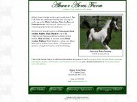 Abmor Acres Farm - Black Arabian Stallions - Black Arabian Stallion - Black Arabian, Pinto Arabian, Pintabian horse breeders