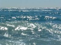 Abonport - Inmobiliaria l'Ampolla - Inmuebles Ampolla - Fincas - Chalets