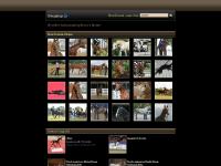 Heather Abounader Photography - www.abounaderphoto.com Heather Abounader Photography - www.abounaderphoto.com