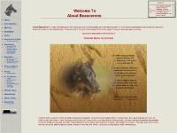 About Beaucerons - Online Beauceron Resource