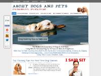 The Best Dog Training Tips and Techniques|Dog Health Care Issues