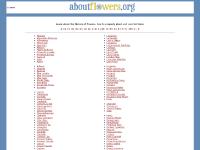 About flowers About flowers