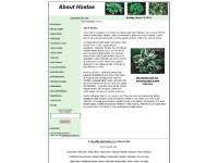 About Hostas About Hostas