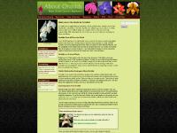 About Orchids: Basic Orchid Care for Beginners - Home About Orchids: Basic Orchid Care for Beginners - Home
