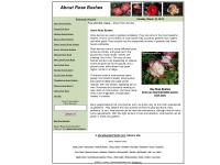 About Rose Bushes About Rose Bushes