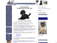  toy dog breeds, choosing a dog, Choosing a dog, dog allergies