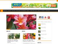 Welcome to About the Garden