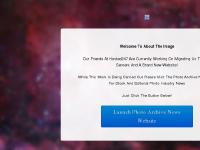 About the Image About the Image