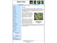 aboutvines.com vines, vine aboutvines.com vines, vine