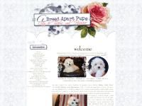 A Breed Apart Coton de Tulears and Havanese breeder in WA A Breed Apart Coton de Tulears and Havanese breeder in WA