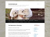 abruzzese.se Hoppa till huvudinnehåll, Hoppa till sekundärt innehåll, cane pastore maremmano abruzzese