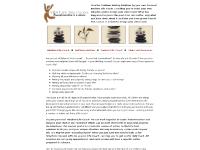 Intuitive Life Coach, Holistic Life Coach - Life Coaching to Move Toward Balance Intuitive Life Coach, Holistic Life Coach - Life Coaching to Move Toward Balance