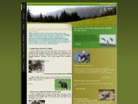 Romanian wildlife: lynx watching, bear watching, wolf watching holidays Romanian wildlife: lynx watching, bear watching, wolf watching holidays