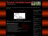 Kennel AbsoluteAmstaff