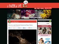 abuggedlife.com Ascension, several underwater photos, Wowie Wong abuggedlife.com Ascension, several underwater photos, Wowie Wong