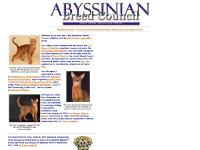 abyssinianbc.org Abyssinian, Abyssinian Cats, Abys abyssinianbc.org Abyssinian, Abyssinian Cats, Abys