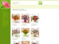 Acacia Flowers Home Acacia Flowers Home