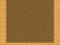 Academy of Payne, a non-profit art organization. Academy of Payne, a non-profit art organization.