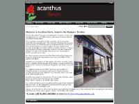 Welcome to Acanthus Florists Welcome to Acanthus Florists