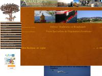 Nos Prestations, Attelages Hippomobiles, Hipposcopie, Accessoires Briderie Cuir Nos Prestations, Attelages Hippomobiles, Hipposcopie, Accessoires Briderie Cuir