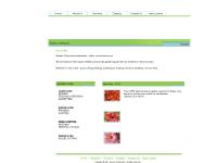  Contact Us, flash_shows