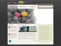 accentica.co.uk Services, News/Blog, Clients