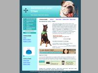 Collier de chien, Laisses, Jouets pour animaux domestiques, Yorkshire  Collier de chien, Laisses, Jouets pour animaux domestiques, Yorkshire