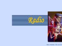 liten accordionradio.se skärmbild liten accordionradio.se skärmbild