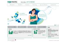 Sage Pastel Software Distributors Sage Pastel Software Distributors