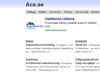 ace.se Barnartiklar, Restauranger, Fönsterputsning