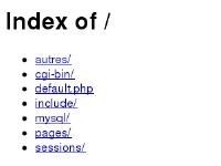 ace64.fr autres/, cgi-bin/, include/ ace64.fr autres/, cgi-bin/, include/