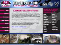 ACE Bat and Wildlife Control - Call the "BAT" Man, Scranton, PA ACE Bat and Wildlife Control - Call the "BAT" Man, Scranton, PA