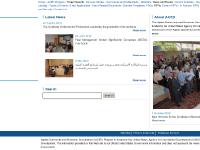 ACED Program ACED Program