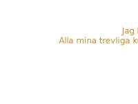 liten aceil.se skärmbild