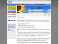 Internet Marketing | Custom Software Development | Website Development | ACES 4 Hire