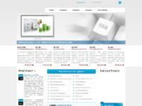 Website Designing, Web Design features, Web Designing Services, e-Commerce Website Designing, Web Design features, Web Designing Services, e-Commerce