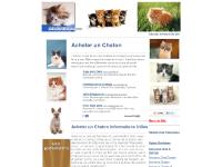 acheterchaton.com Acheter un Chaton , Acheter Chaton, vendre acheterchaton.com Acheter un Chaton , Acheter Chaton, vendre