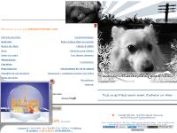 Acheter un Chien - Tous ce qu'il faut savoir avant d'acheter un chien Acheter un Chien - Tous ce qu'il faut savoir avant d'acheter un chien