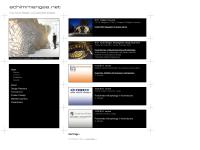 achimmenges.net - Achim Menges Design Research Architecture Product Design