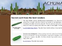 achuma.com Buy at Avalon Magic Plants achuma.com Buy at Avalon Magic Plants