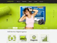  services, marketing, development, design