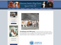 American Cavalier King Charles Spaniel Club American Cavalier King Charles Spaniel Club
