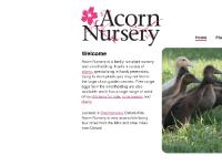 acornplants.co.uk acorn nursery plants chickens eggs perenials acornplants.co.uk acorn nursery plants chickens eggs perenials